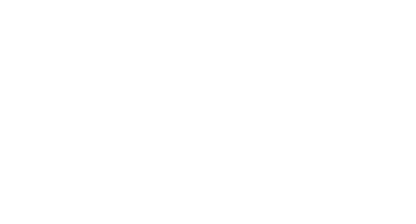 Visora LOGO